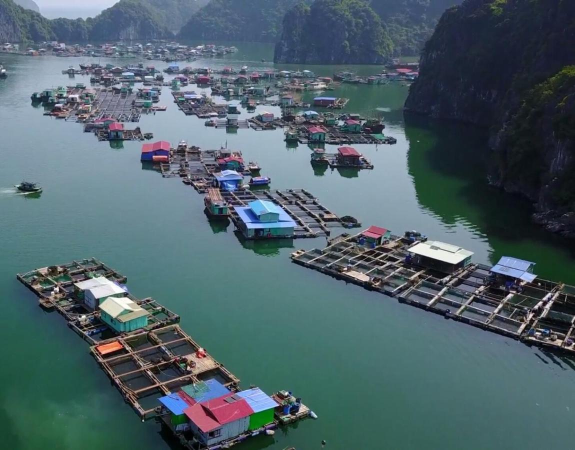 Cat Ba Thailand Hotel Dong Khe Sau Bagian luar foto